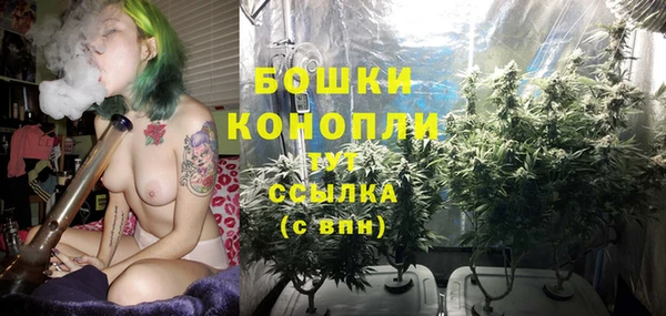 mdpv Фёдоровский