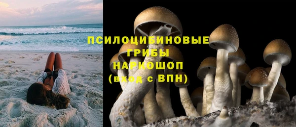 мдпв Нестеровская
